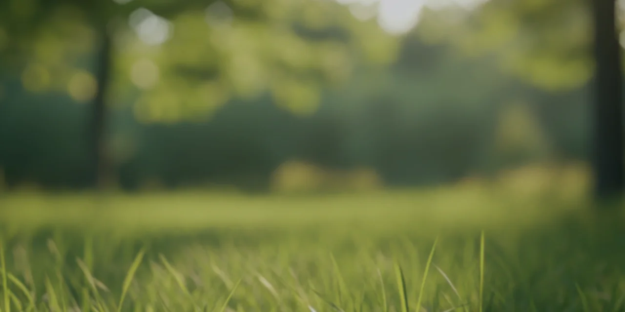 Healeretic Banner