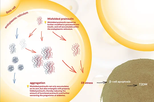 Misfolded Proteins Chart