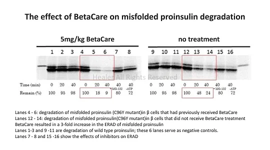 BetaCare Analysis Chart